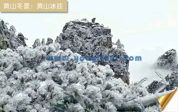 冬天去黃山旅游好嗎？看黃山冰掛