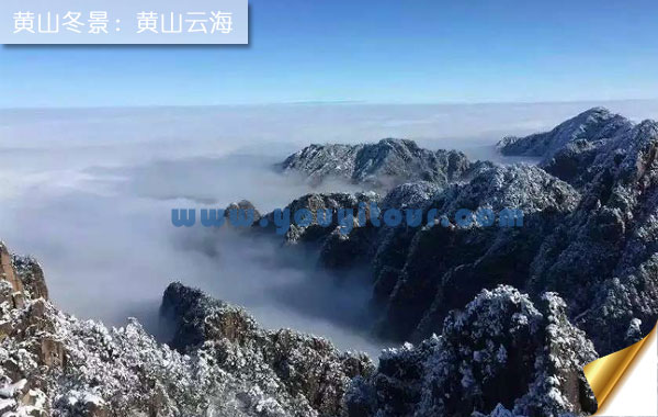 冬天去黃山旅游好嗎？看黃山四絕-黃山云海