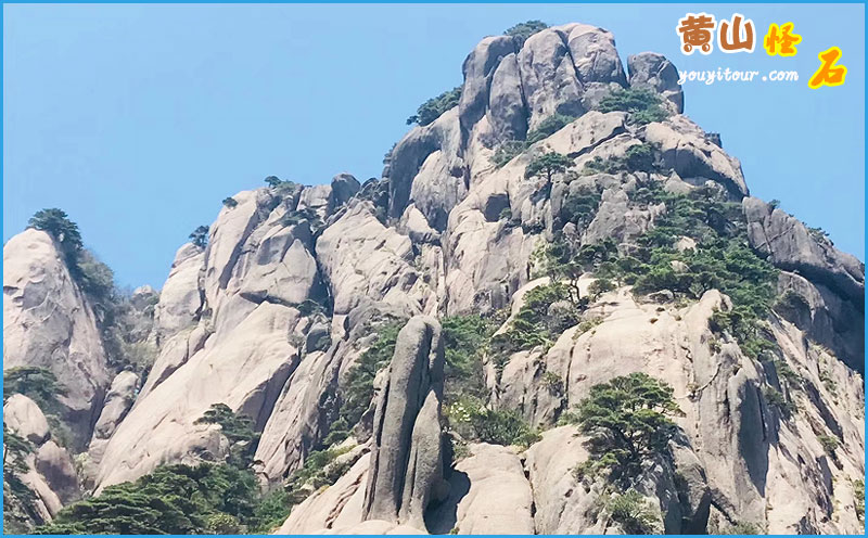 黃山四絕之黃山怪石