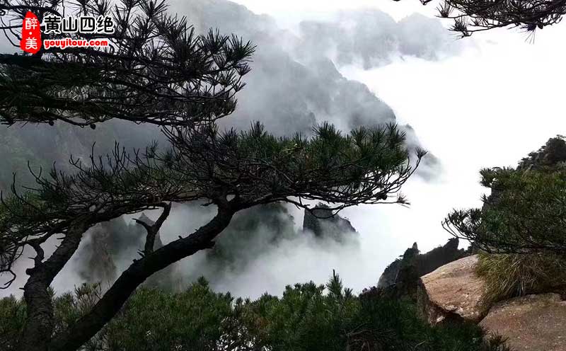 黃山二日游賞黃山四絕！