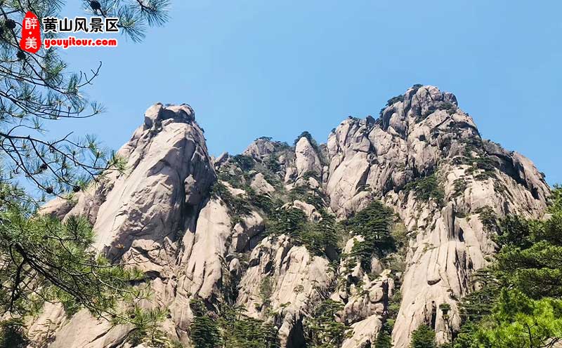 黃山西遞、宏村二日游景點：黃山風景區(qū)