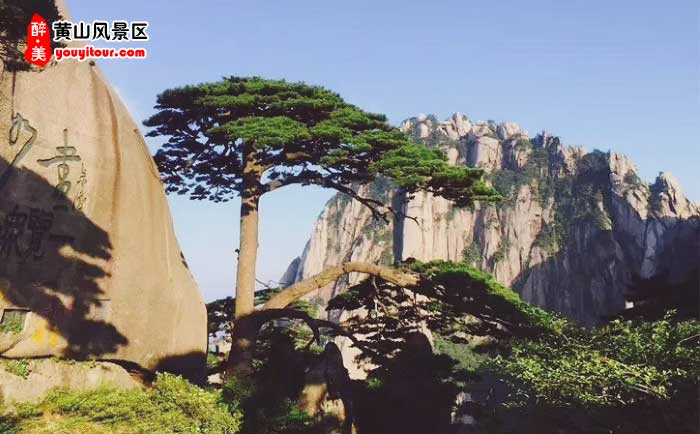 黃山千島湖三日游景點:黃山風景區(qū)圖示 黃山千島湖三日游景點:黃山風景區(qū)圖示