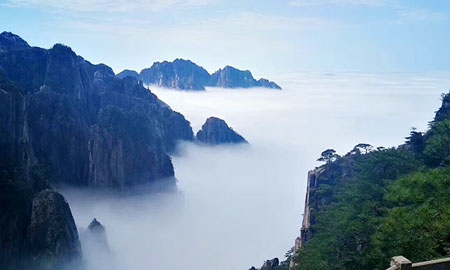 海寧到黃山旅游團(tuán)景點(diǎn)：黃山云海 圖片