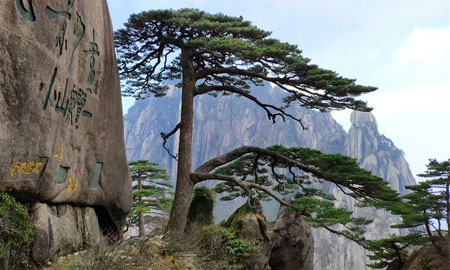 瑞安到黃山旅游團景點：黃山風景區(qū)