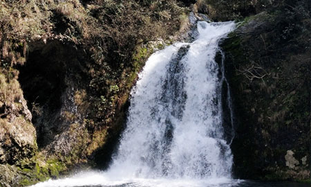 九江到黃山三日游景點(diǎn)：九龍瀑