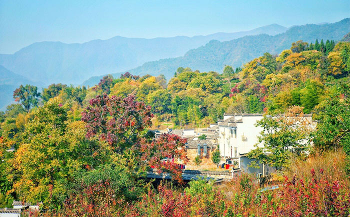 宏村、塔川一日游景點:塔川 圖示