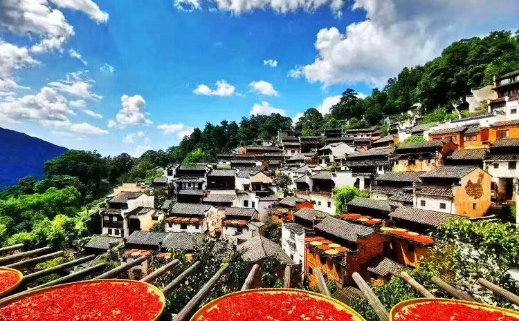 在黃山北座公交到黃山：曬秋 美景圖