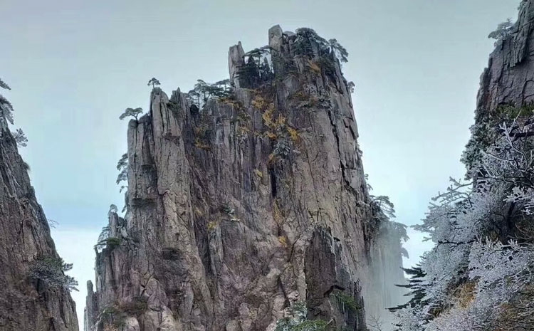 黃山冬季冰掛美景 圖