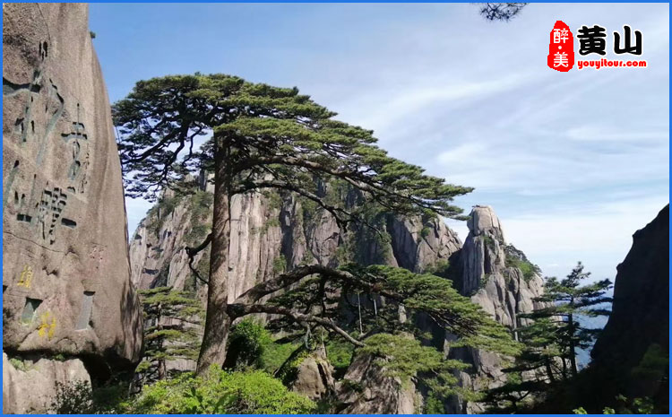 黃山風景區(qū)-迎客松