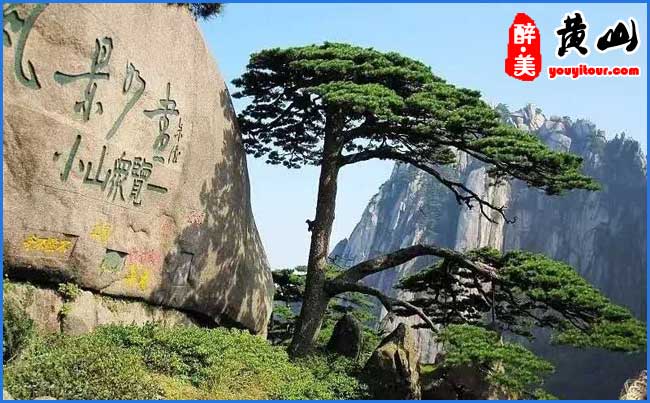 黃山迎客松-黃山導(dǎo)游攝影