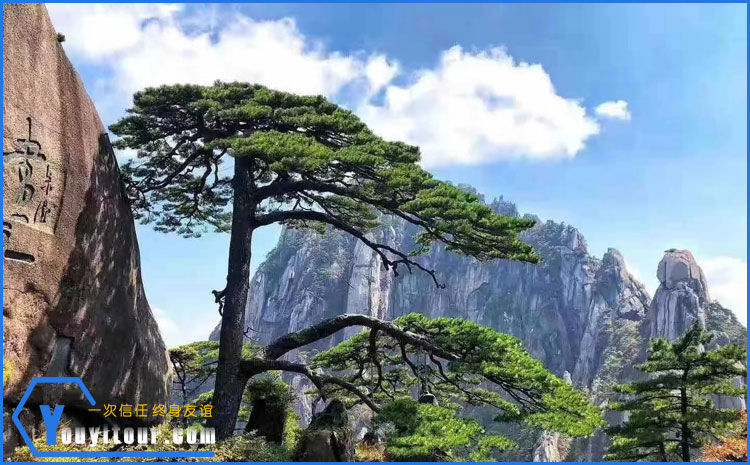 黃山風景區(qū)迎客松