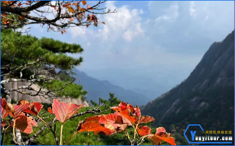 黃山風(fēng)景區(qū) 圖一