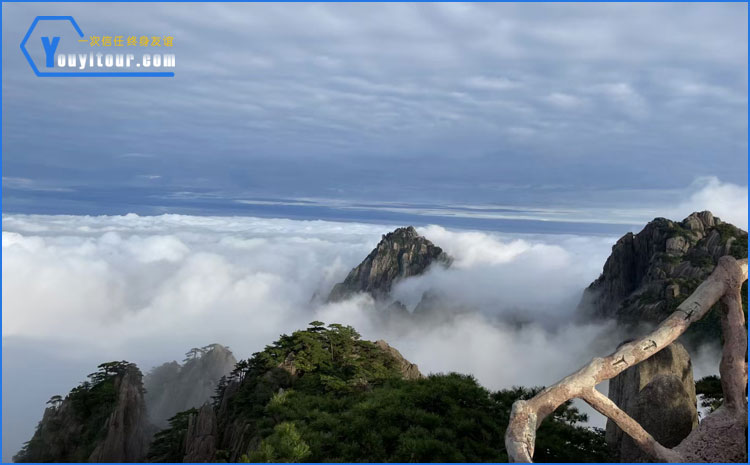 黃山風(fēng)景區(qū)云海圖 黃山風(fēng)景區(qū)云海圖