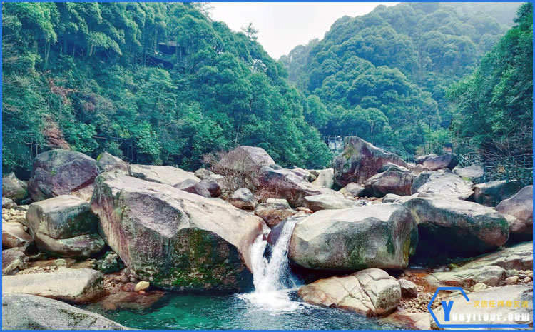 黃山翡翠谷 插圖二